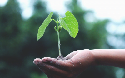 Self Discovery through Earth Discovery