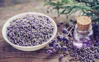 Essential oils as vibrations and how they tune to the energy body