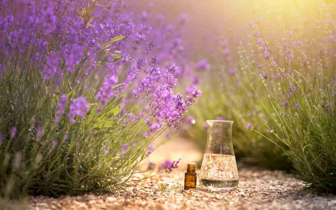 Aromatherapy and Alzheimer’s