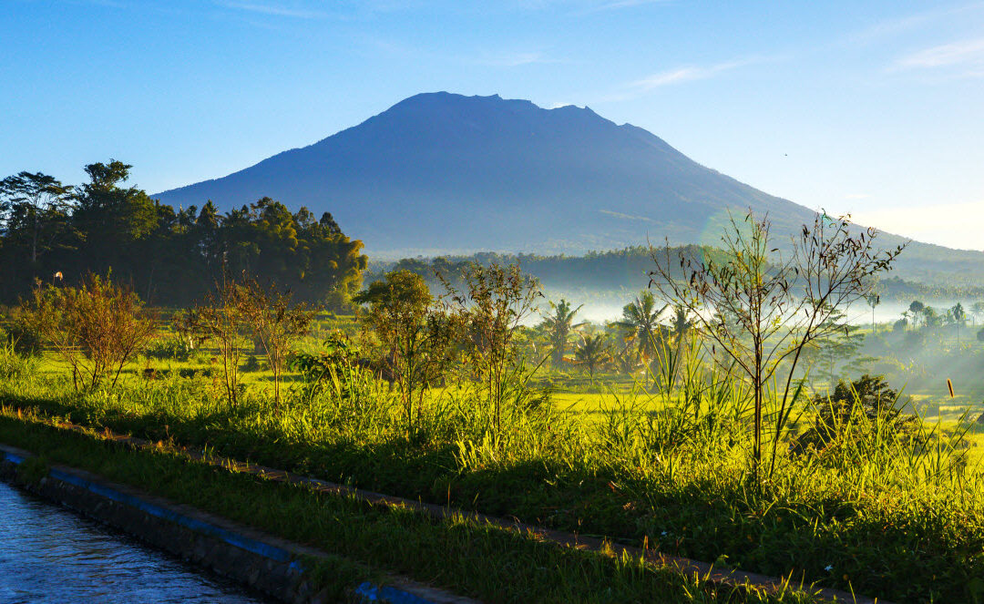 Bali Green – Eco Habitat Extraordinaire