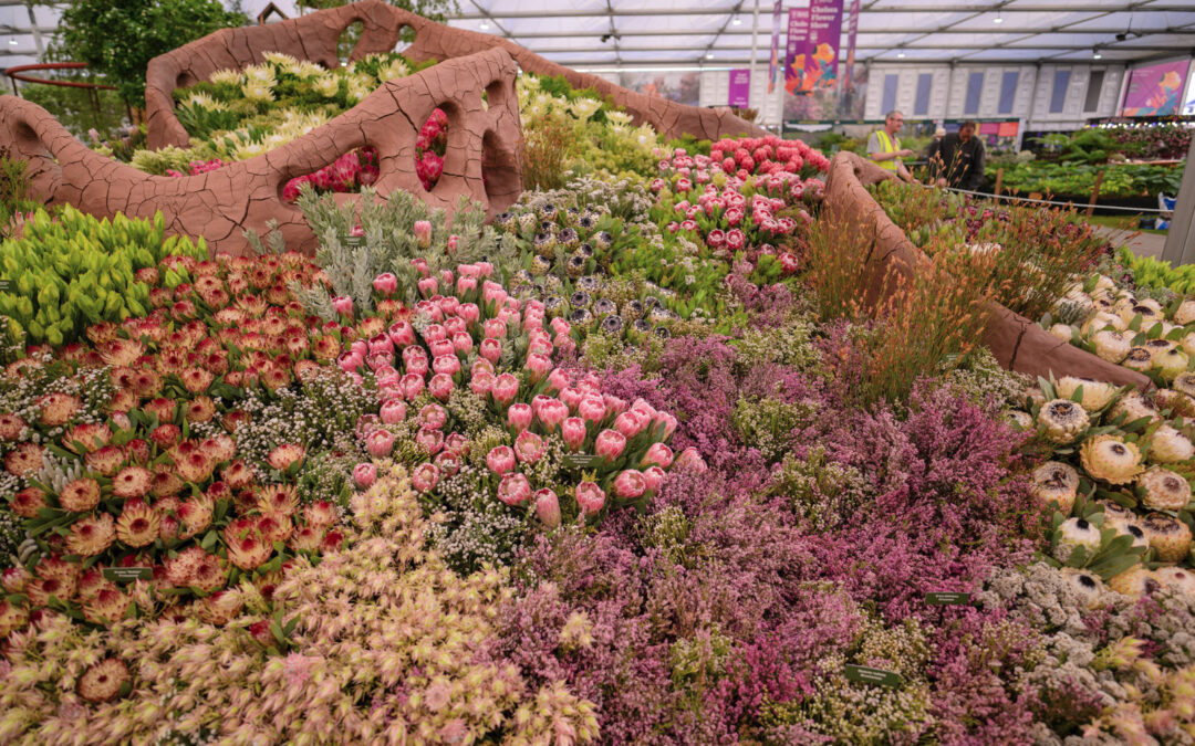 Gold at the Chelsea Flower Show