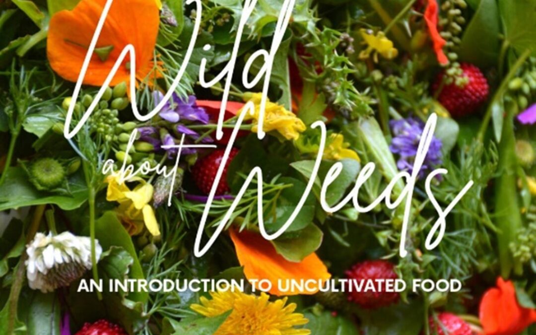 Forage Wild & Revive Retreat