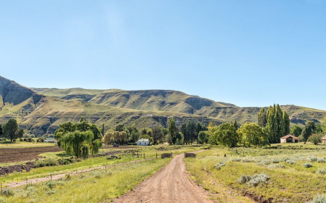 Rhodes: The Land of the Middle Earth