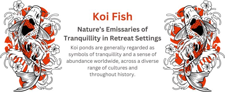 Koi Header