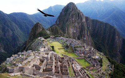 Sacred Andean Tradition in South Africa