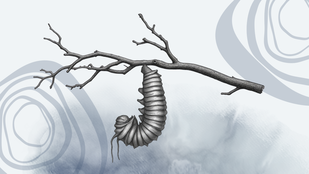 Finding Grace in Odyssey Magazine - Allowing - Transformation of You week 8