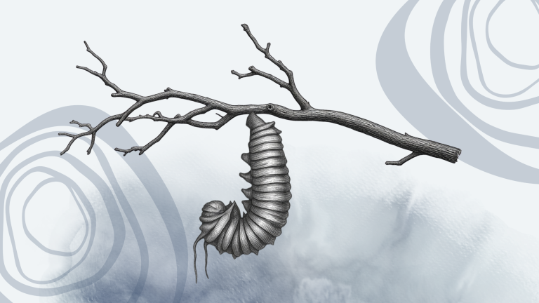 Finding Grace in Odyssey Magazine - Allowing - Transformation of You week 8