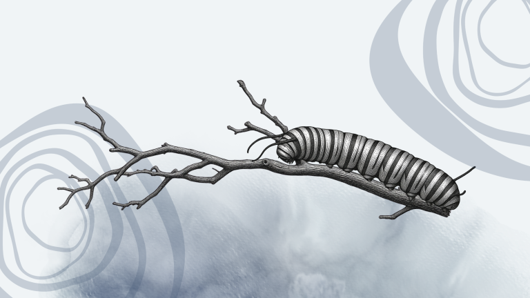 Transformation of you week 4