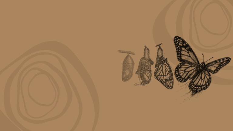 Transformation of You